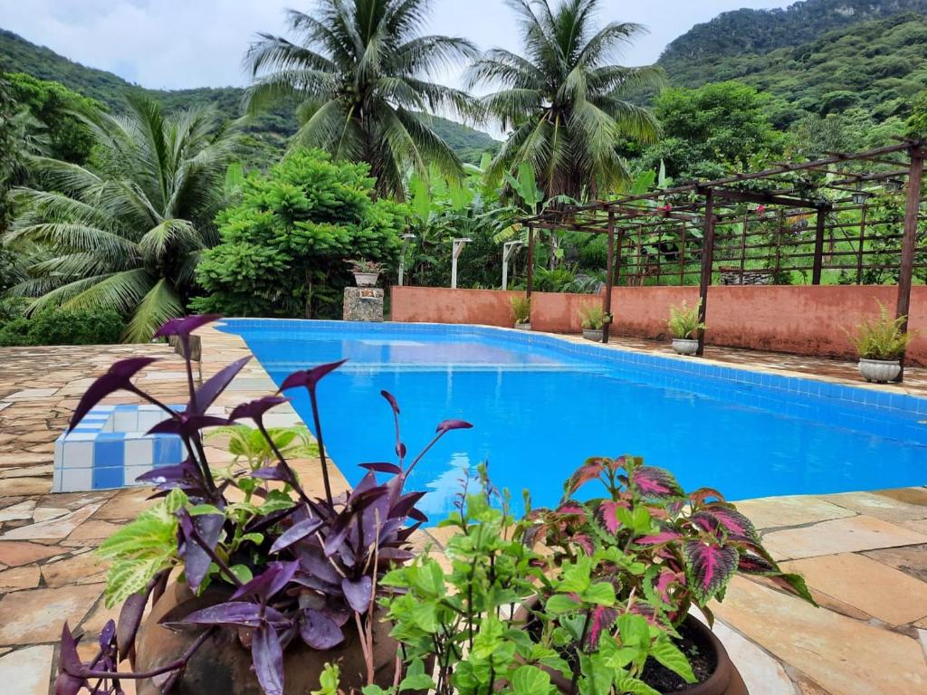 une piscine bleue avec des plantes et des montagnes en arrière-plan dans l'établissement Sítio Vale da Serra, à Maranguape