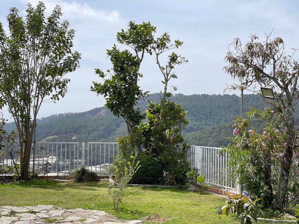 a garden with trees and a white fence at Dalat Topview Homestay in Da Lat