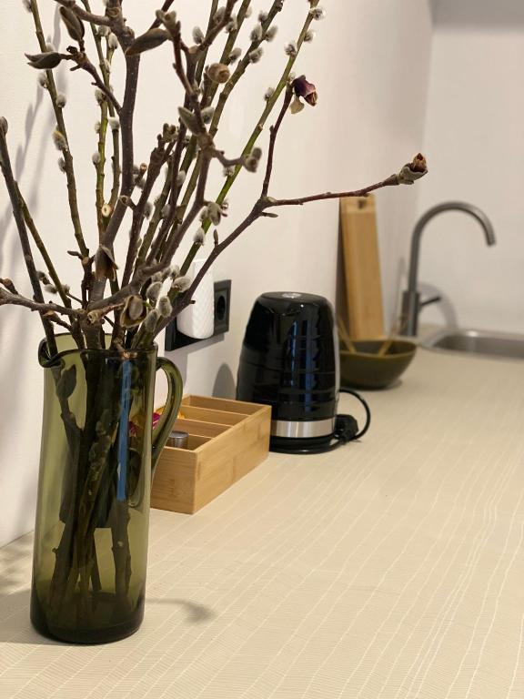 a vase with branches in it sitting on a counter at Studio Apartment Park Zrinjevac in Zagreb