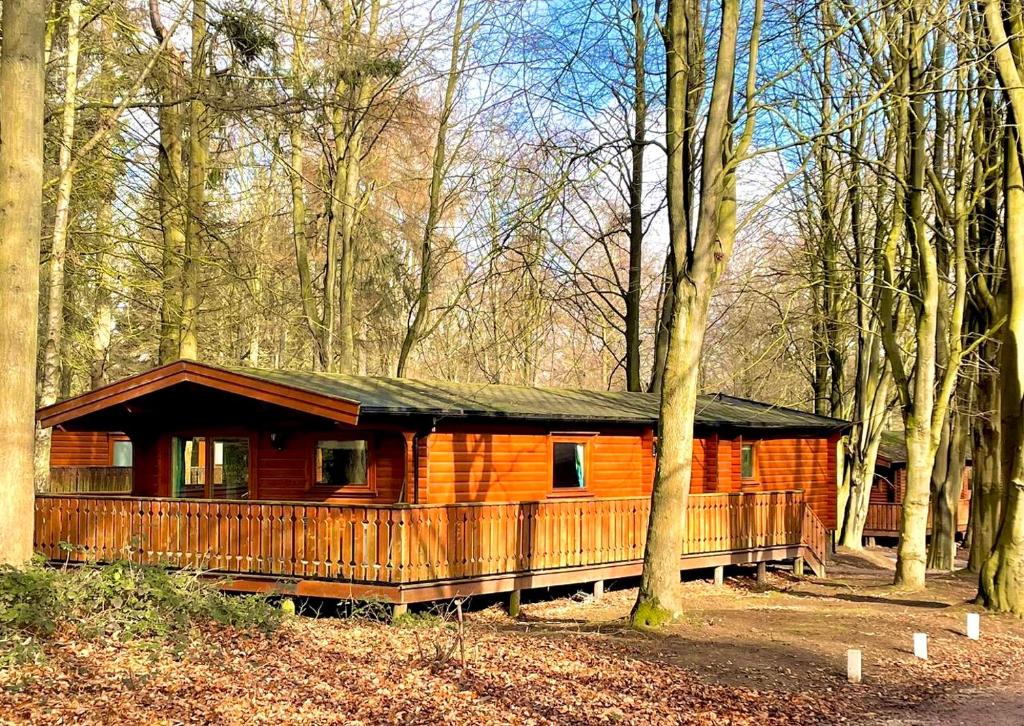 an orange cabin in the woods with trees at Bamboo Retreat in Louth