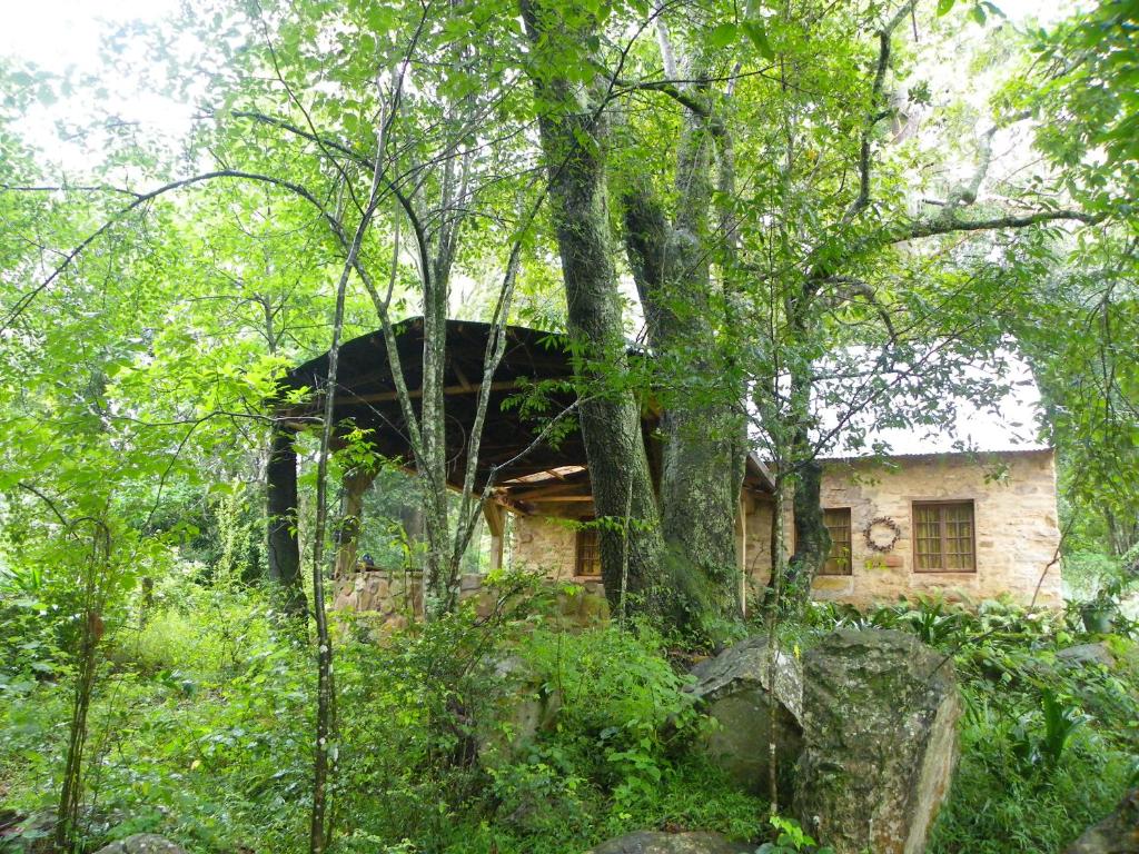 a house in the middle of a forest at KLIPINNIBOS Nature Farm in Schoemanskloof