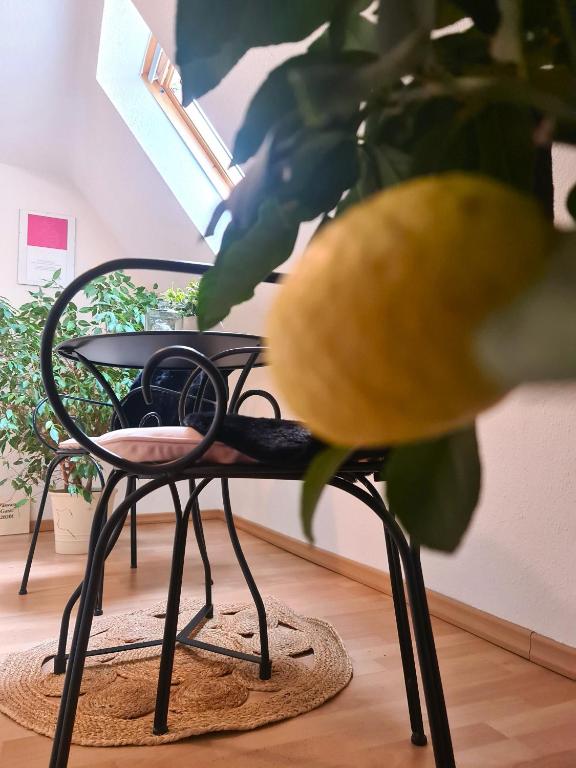 Fotografie z fotogalerie ubytování Gästehaus Zum Weinbauer v destinaci Rhodt unter Rietburg