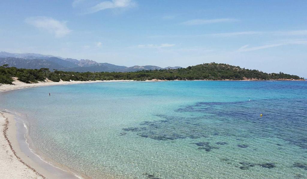 una playa con agua azul y árboles en el fondo en Les Bungalows du California en Pinarellu