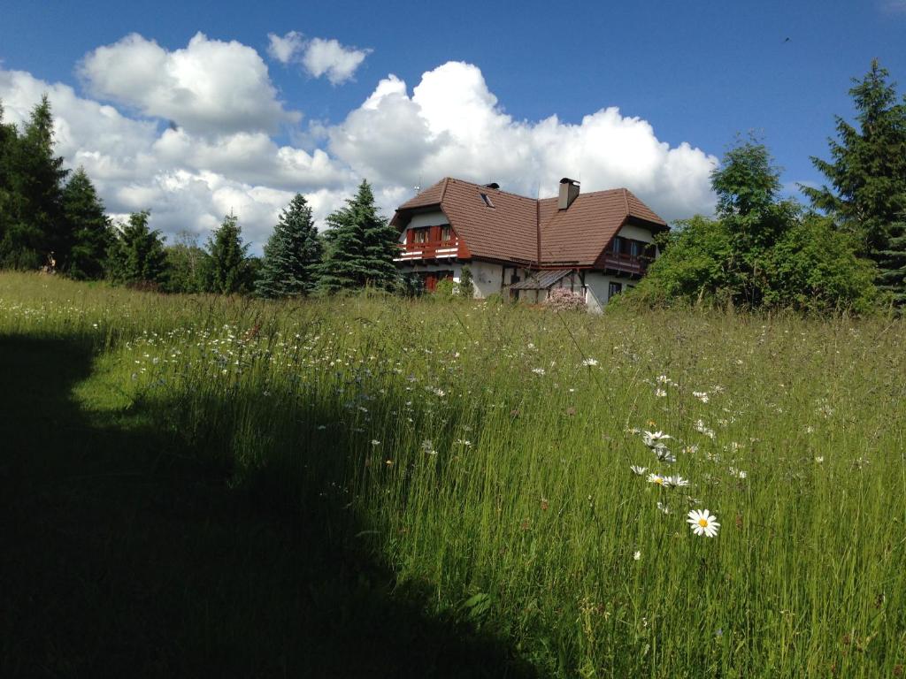 a house in the middle of a field of grass at Penzion Harvanek in Vlachovice