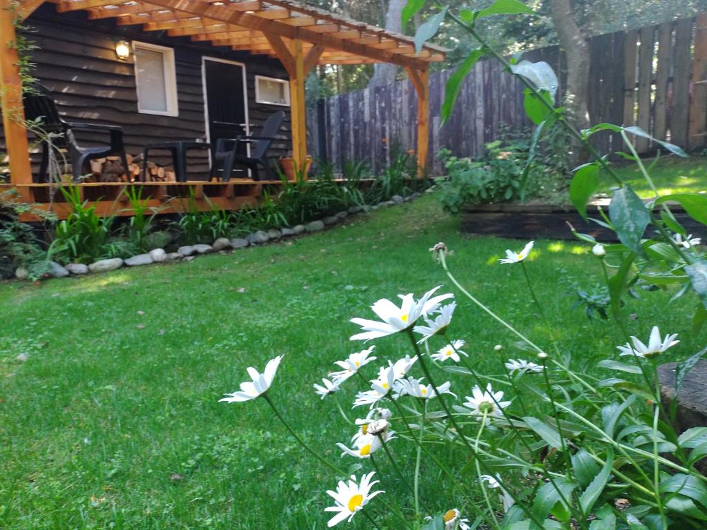 een achtertuin met een hut met een pergola en witte bloemen bij Cabañita del bosque in Bariloche