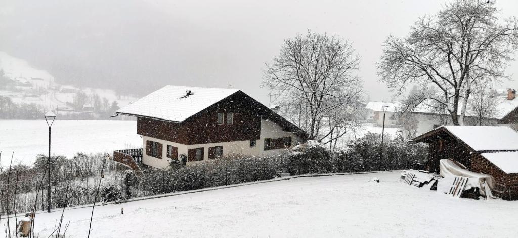 Bilocale Nel Cuore Della Val Di Fiemme v zime