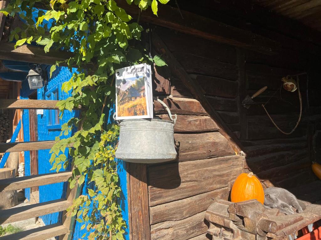 a bucket hanging from the side of a building with a pumpkin at Casa de vacanta traditionala La Fanar in Schiuleşti