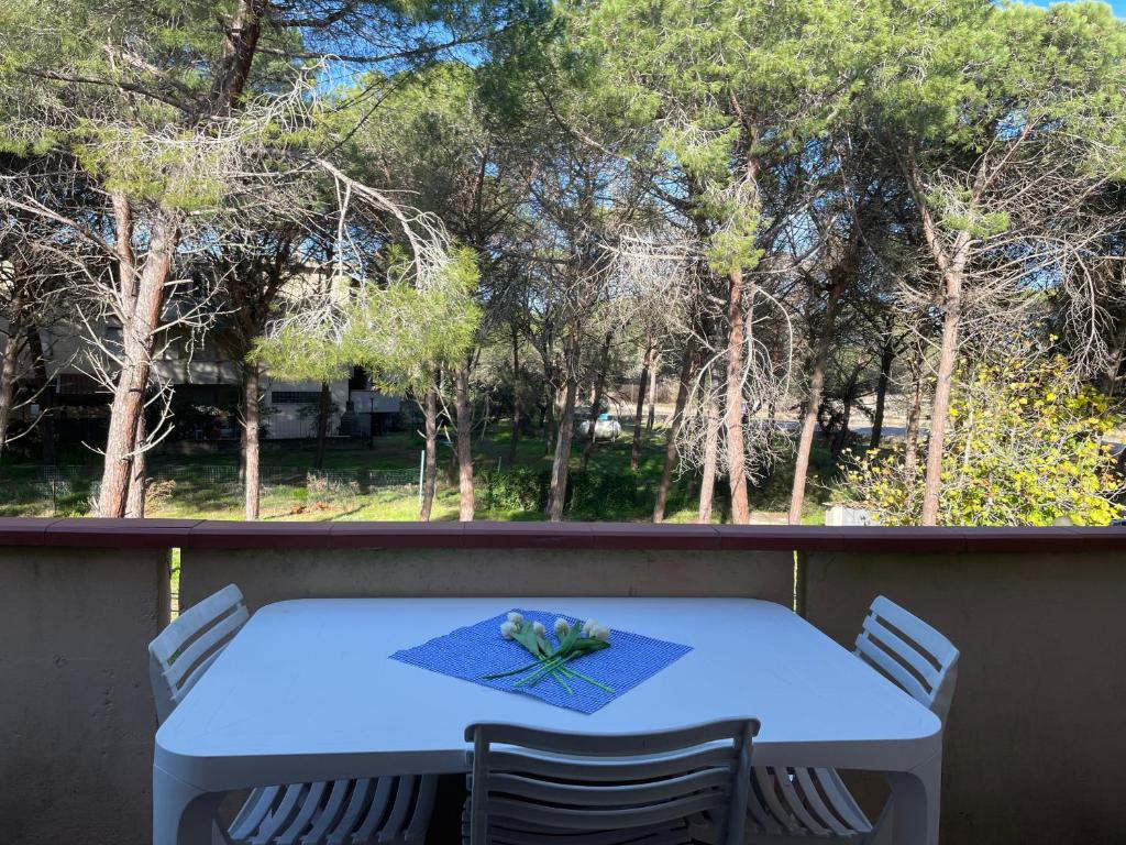 A garden outside La casa delle janas