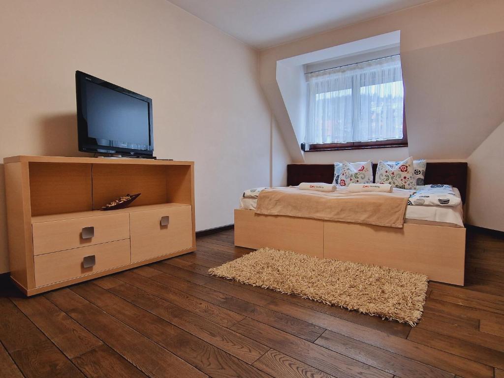 Televízia a/alebo spoločenská miestnosť v ubytovaní ZAKOapartamenty BUTOROWY RESIDENCE