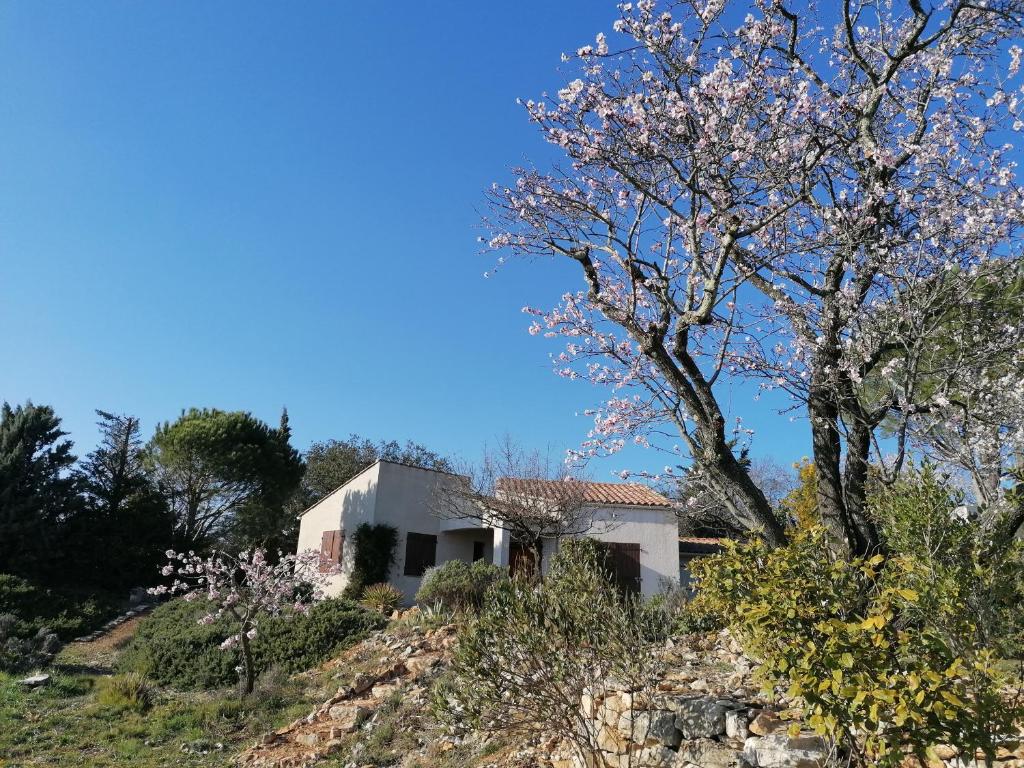 une maison au bord d'une colline avec un arbre dans l'établissement Les romarins, à Saint-Jean-de-Minervois