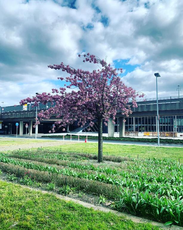 Maritim Airport Hotel Hannover - Resim 30