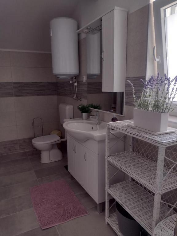 Kúpeľňa v ubytovaní Apartments Franica
