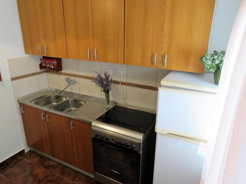 Kuchyňa alebo kuchynka v ubytovaní Apartments Franica