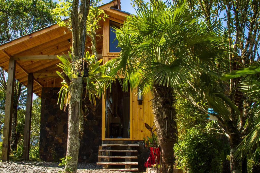 une maison avec une porte d'entrée jaune entourée d'arbres dans l'établissement Pousada- Cabana Gala Vale das Macieiras Urubici, à Urubici