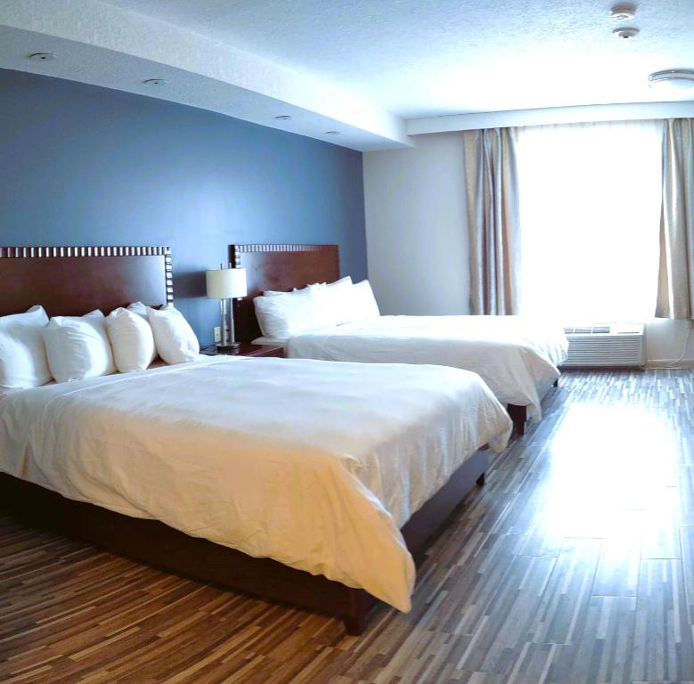 Habitación de hotel con 2 camas y ventana en Stars Inn and Suites - Hotel, en Fort Saskatchewan