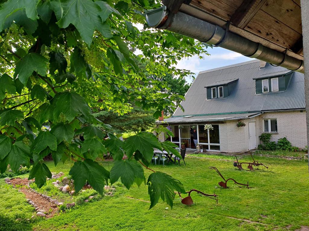 una casa con un patio con una casa en Zielona Samotnia, en Czaplinek