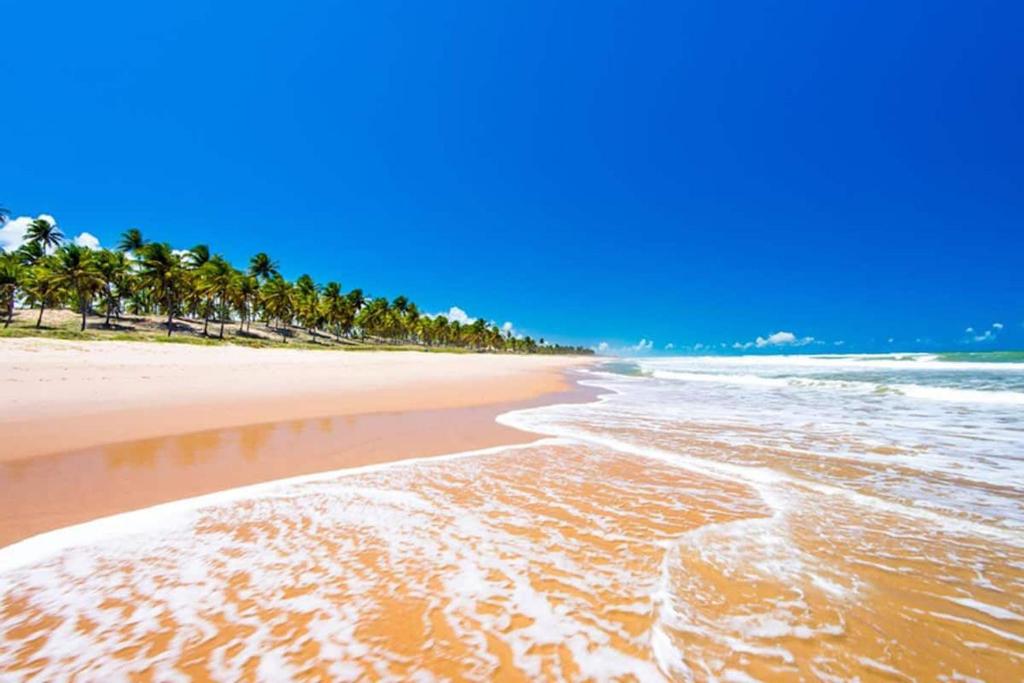 einen Strand mit Palmen und Wasser in der Unterkunft Paraíso na Reserva Imbassaí in Mata de Sao Joao