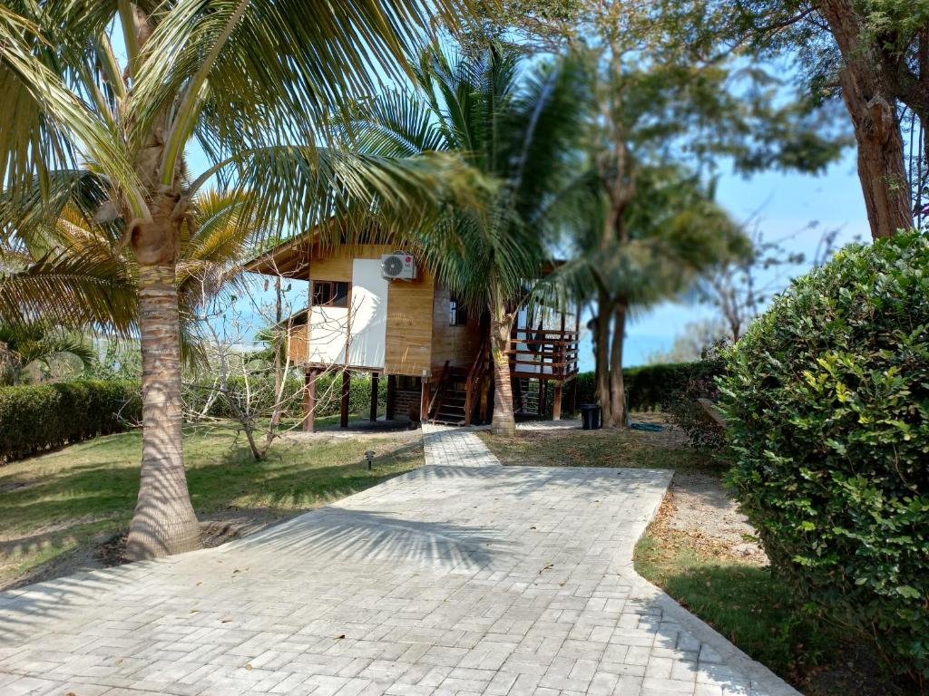 Zahrada ubytování L'Oasis Don Juan