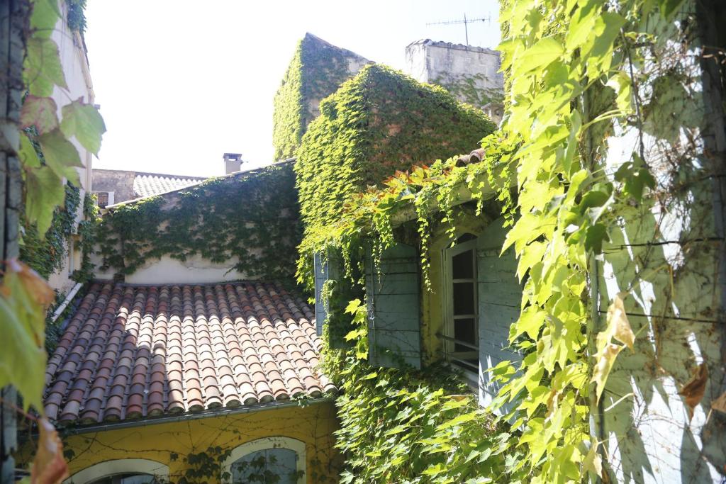 Un vieux bâtiment avec du lierre sur lui dans l'établissement La Résidence Arles Centre, à Arles
