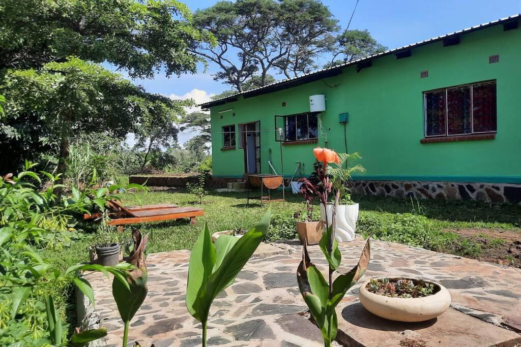 una casa verde con plantas delante de ella en Artist Villa in a Beautiful Yard en Chilanga