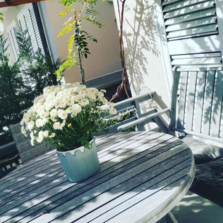 Balkón nebo terasa v ubytování Cosy home Lalëz Durrës