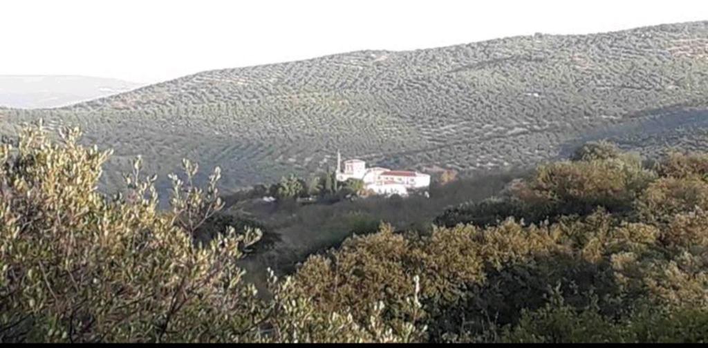 ein Haus inmitten eines Hügels mit Bäumen in der Unterkunft Cortijo la Umbria in Villanueva de Algaidas