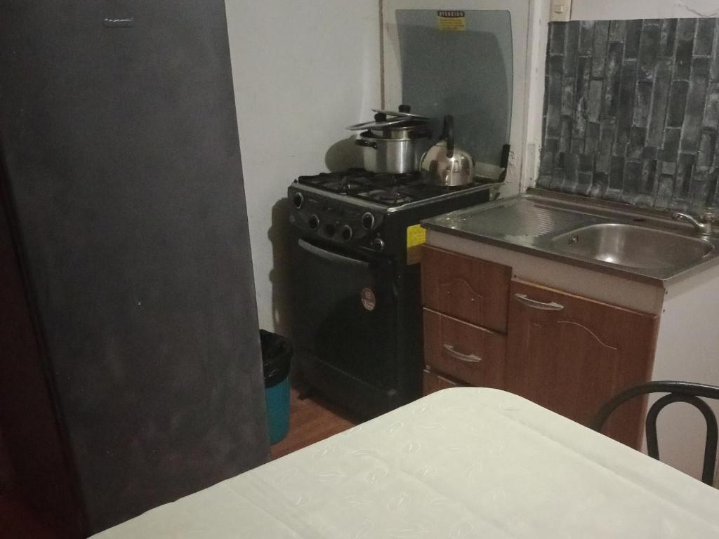 a small kitchen with a stove and a sink at Cabañas Josabi in Concepción