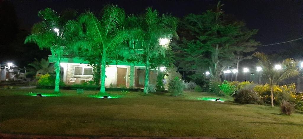 ein Haus mit grüner Beleuchtung in einem Garten in der Nacht in der Unterkunft Apart Hotel Red Dto 1 in Pontevedra