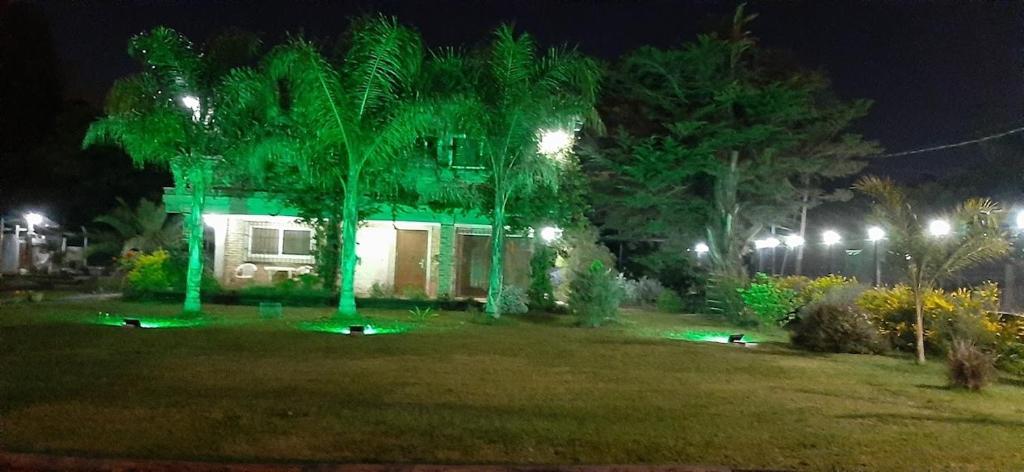 a house with green lights in a yard at night at Apart Hotel Red Dto 1 in Pontevedra