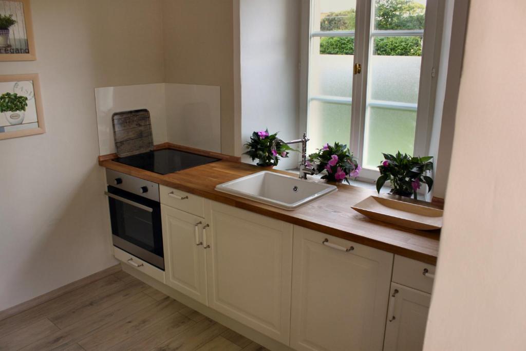 Hotel Gut Grossrotter Hof (ehem. Hotel Schmitte) - Resim 4