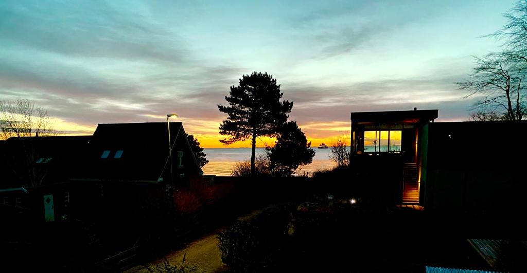 una puesta de sol sobre el agua con un árbol y edificios en feriehus med havudsigt, en Spodsbjerg