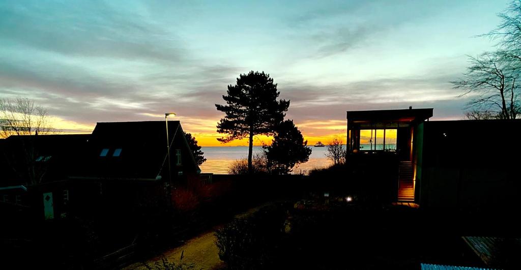 a sunset over the water with a tree and buildings at feriehus med havudsigt in Spodsbjerg