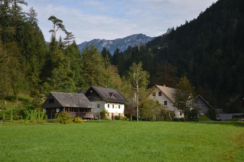 a group of houses in a field with mountains in the background at The farmhouse Bevsek Osep in Solčava