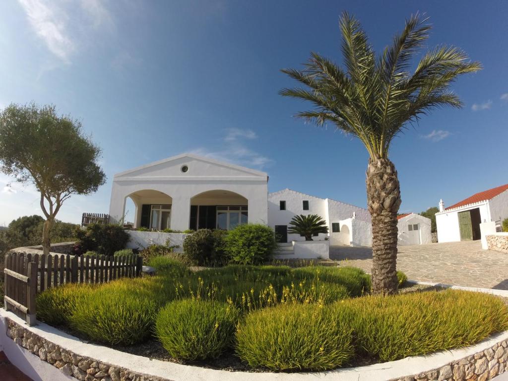 a palm tree in front of a white house at BINIALMESC in Alaior