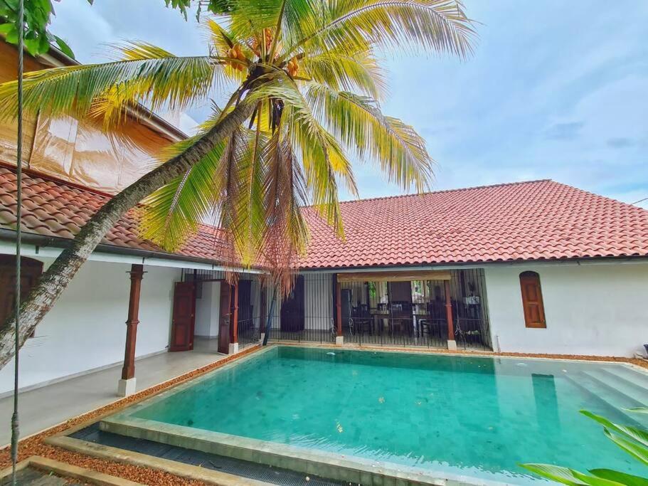 eine Villa mit einem Pool und einer Palme in der Unterkunft Wattala Villa- The Guardian Bungalow in Wattala