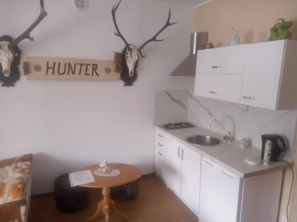 una pequeña cocina con fregadero y mesa en Hanter5, en Jugów