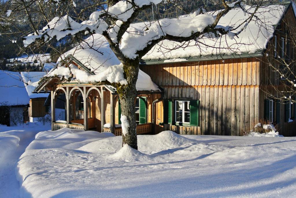 a house with a tree in the snow at Ferienhaus Archkogl in Grundlsee