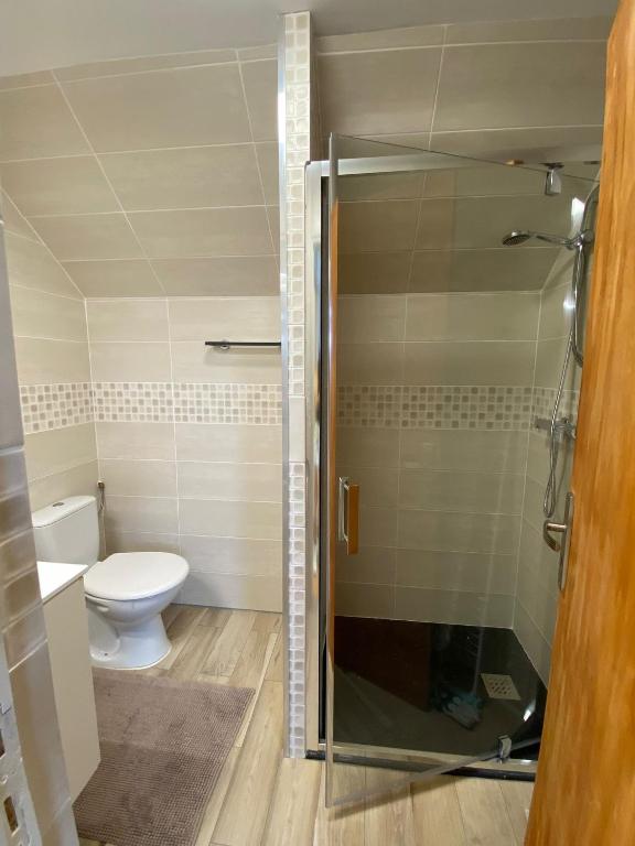 Koupelna v ubytování Appartements CDG JOIGNY