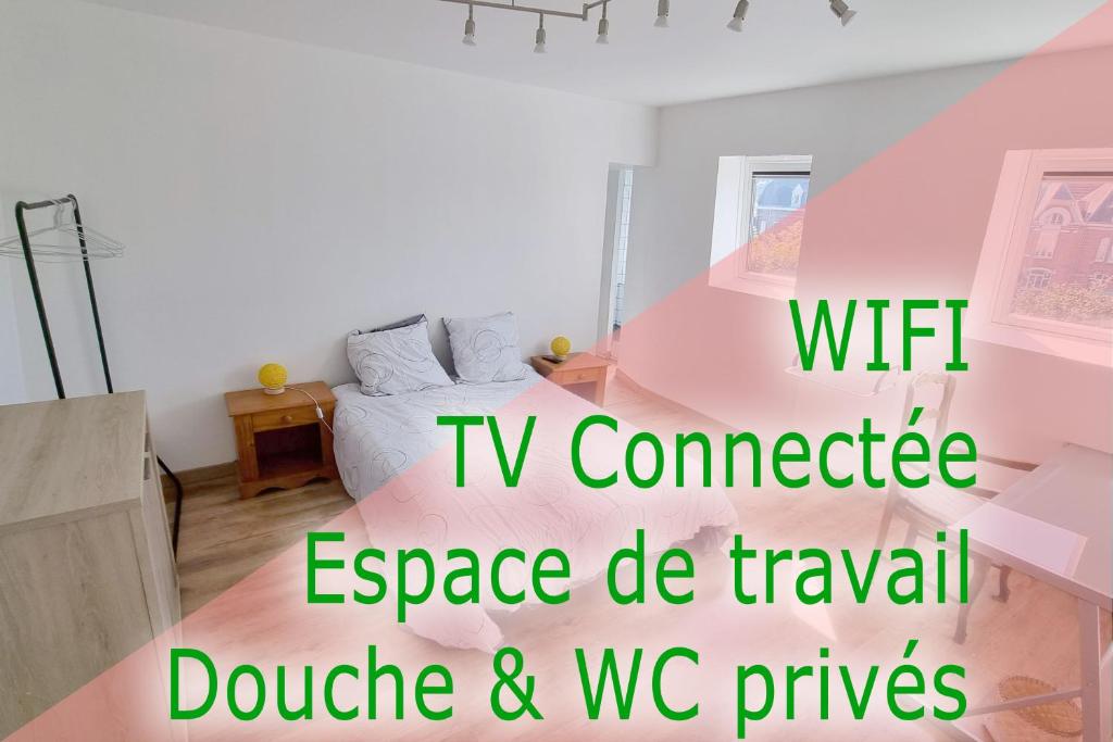 Studio - TV - WIFI - Salle De Bain privée في Avesnes-sur-Helpe: غرفة نوم مع شبكة اتصال تلفزيونية