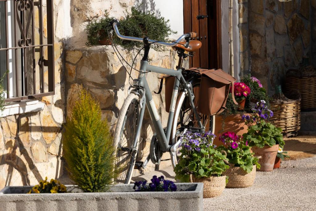 Zahrada ubytování Casa Rural Majada del Conde