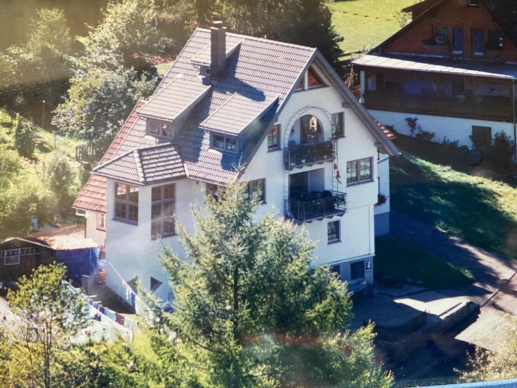 an aerial view of a house with a roof at Im Salzgässle in Schonach