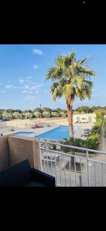 - une vue sur un palmier et une piscine dans l'établissement Bel appartement dans résidence avec piscine, à Linguizzetta