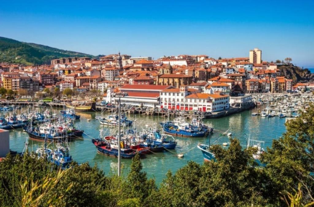 un grupo de barcos atracados en un puerto en TXIKI en Bermeo