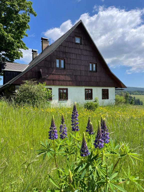 Fotografie z fotogalerie ubytování Chalupa u kapličky Říčky v Orlických horách v destinaci Wüstenei