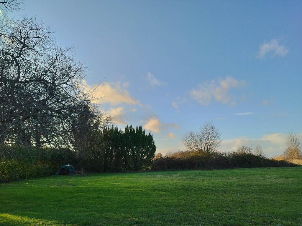 a field with green grass and trees and a blue sky at Le Vieux Prunier in Caillauds