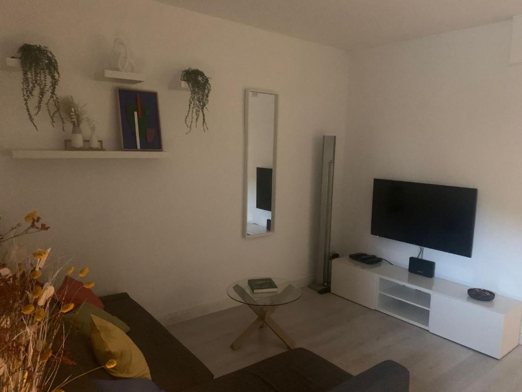 A television and/or entertainment centre at The secret window on the river Arno