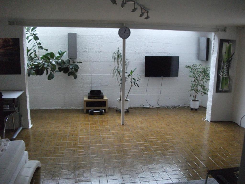 een woonkamer met planten en een flatscreen-tv bij Helle große Souterrainwohnung mit eigenem Eingang in Unterhaching