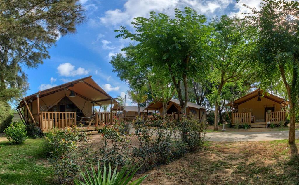 a group of cottages in the woods with trees at Glamping -Bungalows El Faro in Conil de la Frontera