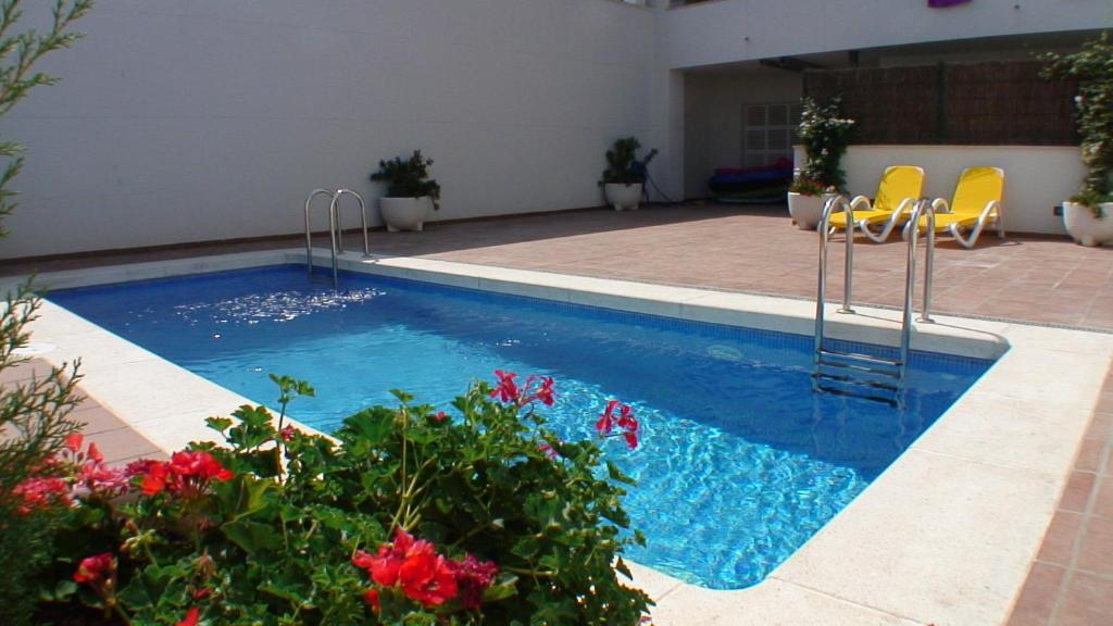 - une piscine entourée de chaises et de fleurs dans la cour dans l'établissement Apartamentos Estartit Park, à L'Estartit