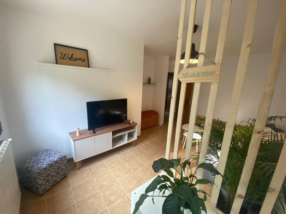 a living room with a flat screen tv and a plant at Chez Cathy et Philippe in Vérargues